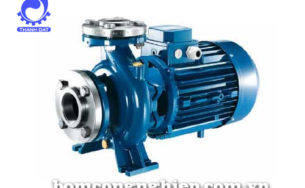 Máy Bơm Pentax CM65- 125B