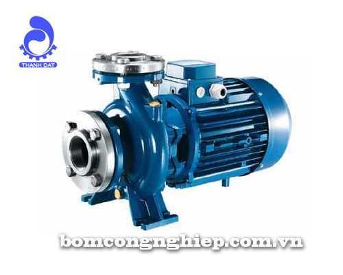 Máy bơm nước Pentax CM50-200A