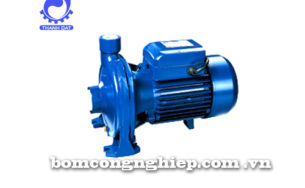 Máy bơm nước Forerun MCP