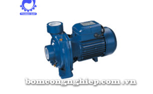 Máy bơm nước Forerun MHF