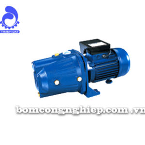 Máy bơm nước Lucky Pro MJ100L