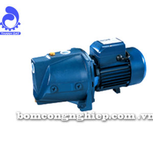 Máy bơm nước Lucky Pro MJSW-10M