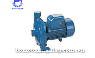 Máy bơm nước ly tâm Forerun MCP158