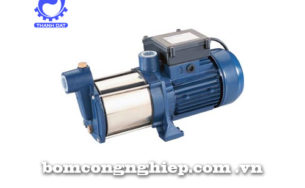 Máy bơm nước trục ngang Forerun MRS