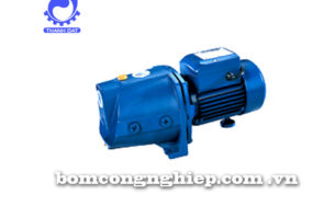 Máy bơm nước tự mồi Forerun MJSW1C-E