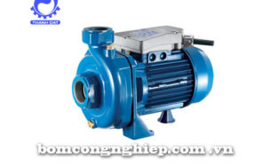 Máy bơm nước Foras RA
