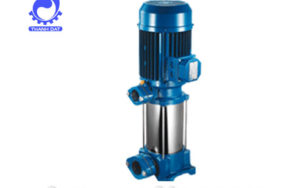 Máy bơm nước Foras Plus V-L