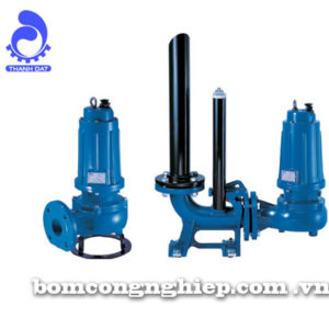 Máy bơm nước Pentax DM