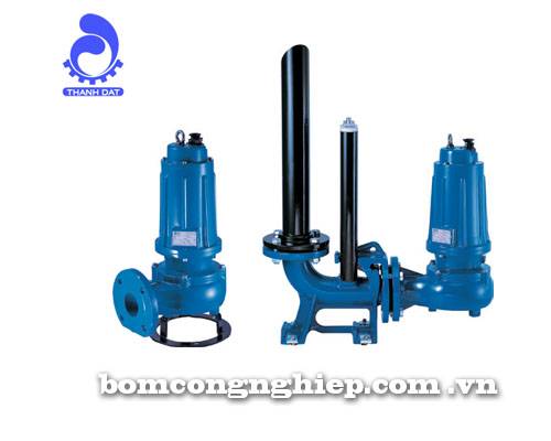 Máy bơm nước Pentax DM