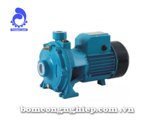 Máy bơm nước LEO 2XCm25-160A