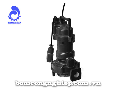 Máy bơm nước Ebara 40DSF5