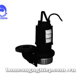 Máy bơm nước Ebara 50DS5