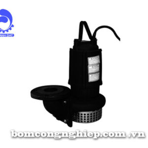 Máy bơm nước Ebara 50DS5-61kg