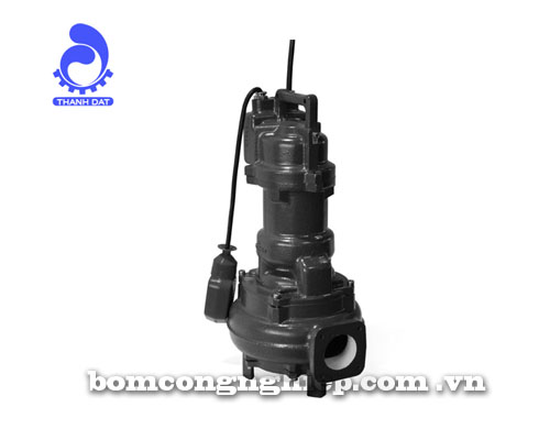 Máy bơm nước Ebara 65DMLF