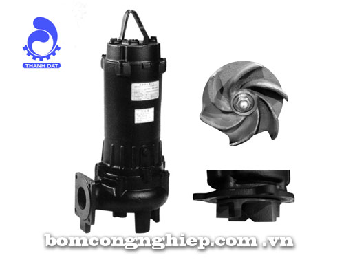 Máy bơm nước Ebara 65DVS-34kg