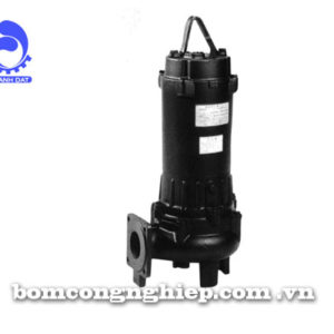 Máy bơm nước Ebara 80DVS-60kg