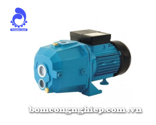 Máy bơm nước LEO XDPm255A