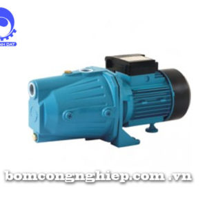 Máy bơm nước LEO XJm100L