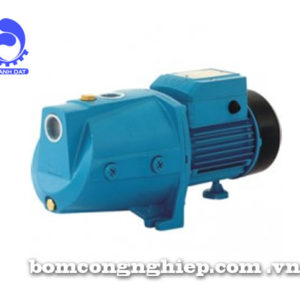 Máy bơm nước LEO XJWm 1B-E