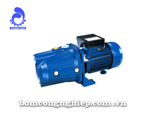 Máy bơm nước Lucky-Pro MJ80L