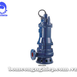 Máy bơm nước Lucky-Pro WD2200A