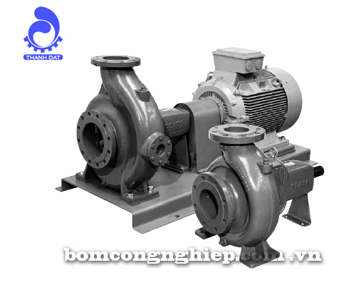 Máy bơm nước Ebara FHA 100-250