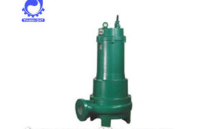 Máy bơm chìm nước thải Ture QW
