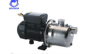 Máy bơm đầu Inox Ture WJS