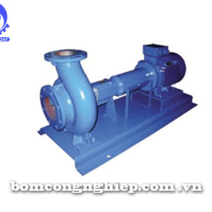 Máy bơm nước công nghiệp Ebara ENR 32-125
