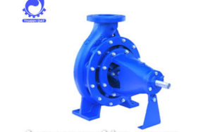 Máy bơm nước trục rời Ture PAS