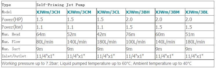 Máy bơm nước bán chân không LEO XJWm bảng thông số kỹ thuật