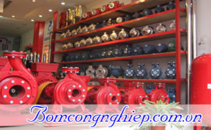 Báo giá máy bơm nước