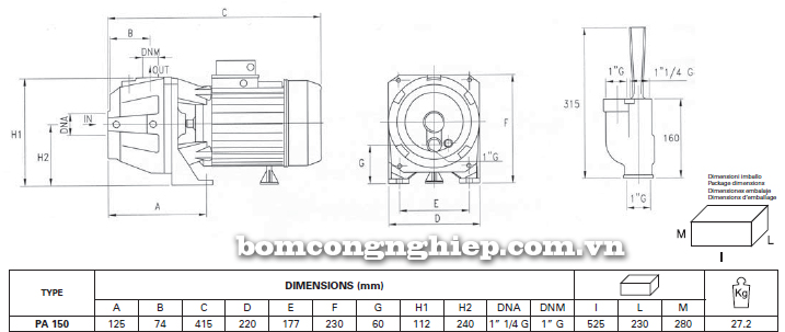 Máy bơm nước giếng Foras PA 150 bảng thông số kích thước