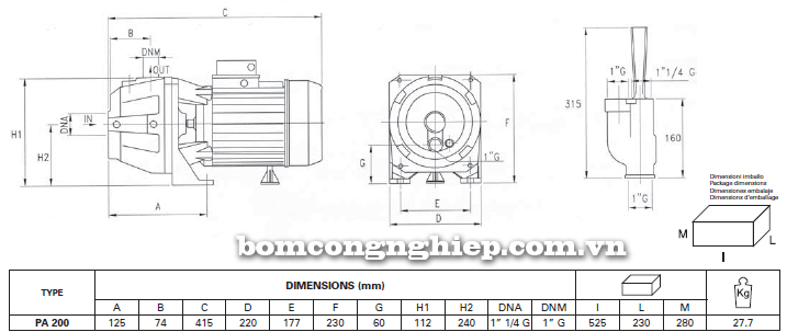 Máy bơm nước giếng Foras PA 200 bảng thông số kích thước