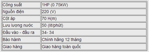 Máy bơm nước chân không LEO XKM 80-1 bảng thông số kỹ thuật