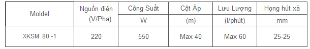 Máy bơm nước chân không LEO XKSm 80-1 bảng thông số kỹ thuật