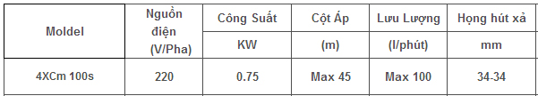 Máy bơm nước LEO 4XCM 100S bảng thông số kỹ thuật