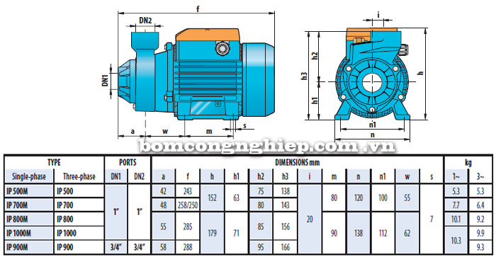 Máy bơm nước City-pumps IP900 bảng thông số kích thước