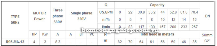 Bơm chìm giếng khoan Mastra R95-MA-13 bảng thông số kỹ thuật
