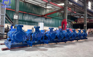 Giới thiệu về máy bơm nước công nghiệp trục rời Pentax