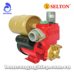 Bơm chân không tự động Selton Sel 150AE