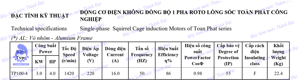 Motor điện Toàn Phát 3KW TP100-4 1 pha công nghiệp