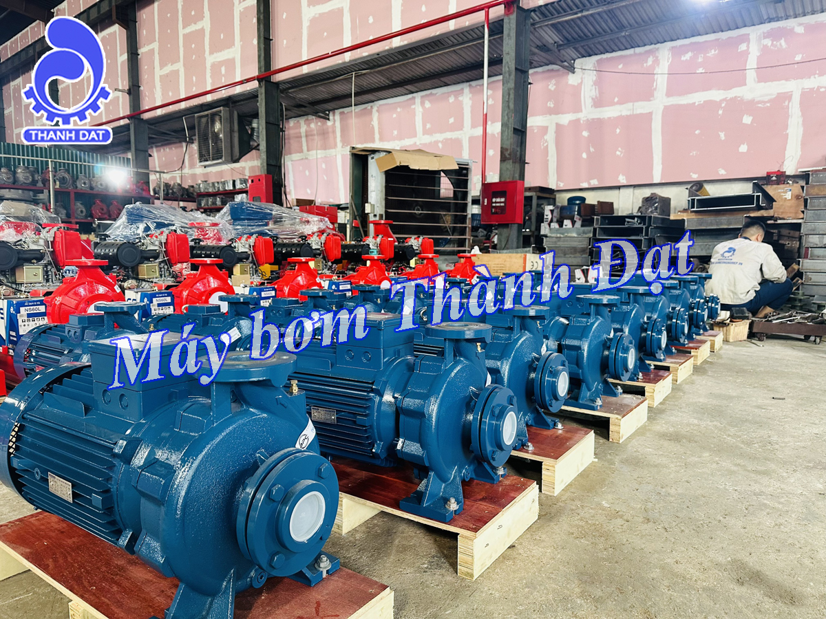 Báo giá máy bơm công nghiệp trục liền Inter