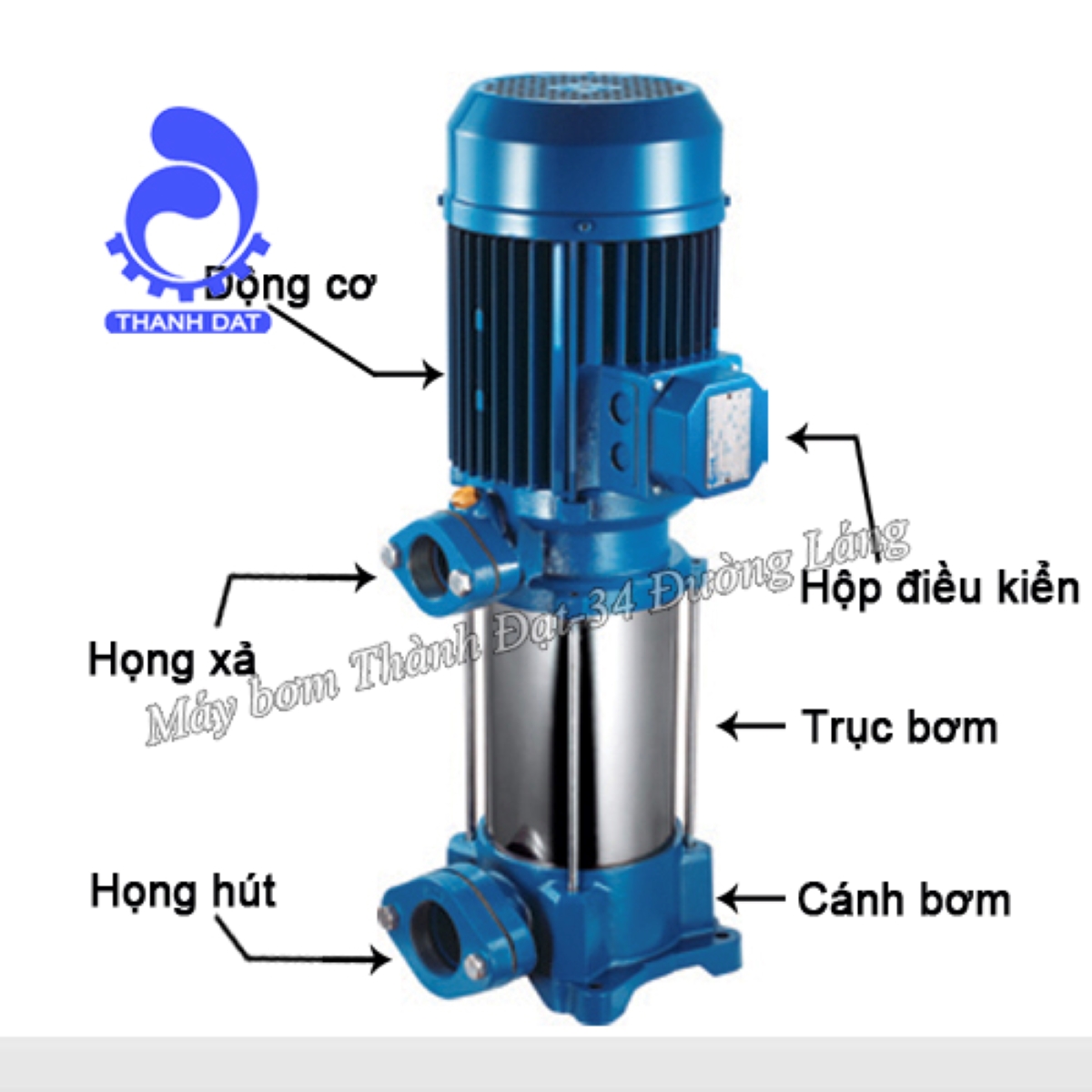 Bơm trục đứng Pentax nhập khẩu