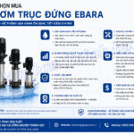 Lưu ý khi chọn mua máy bơm trục đứng Ebara