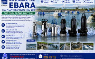 Máy bơm nước thải Ebara cho nuôi trồng thủy sản