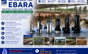 Máy bơm nước thải Ebara cho trang trại chăn nuôi
