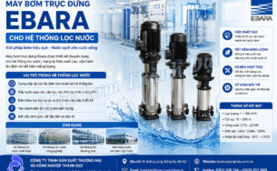 Máy bơm trục đứng Ebara cho hệ thống lọc nước