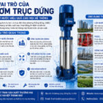 Vai trò của máy bơm trục đứng